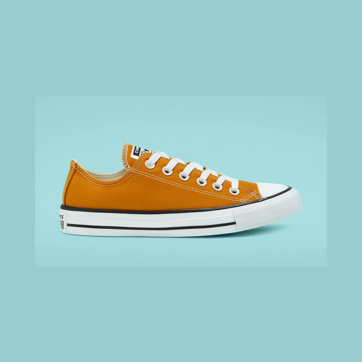 converse-chuck-taylor-all-star 168578C