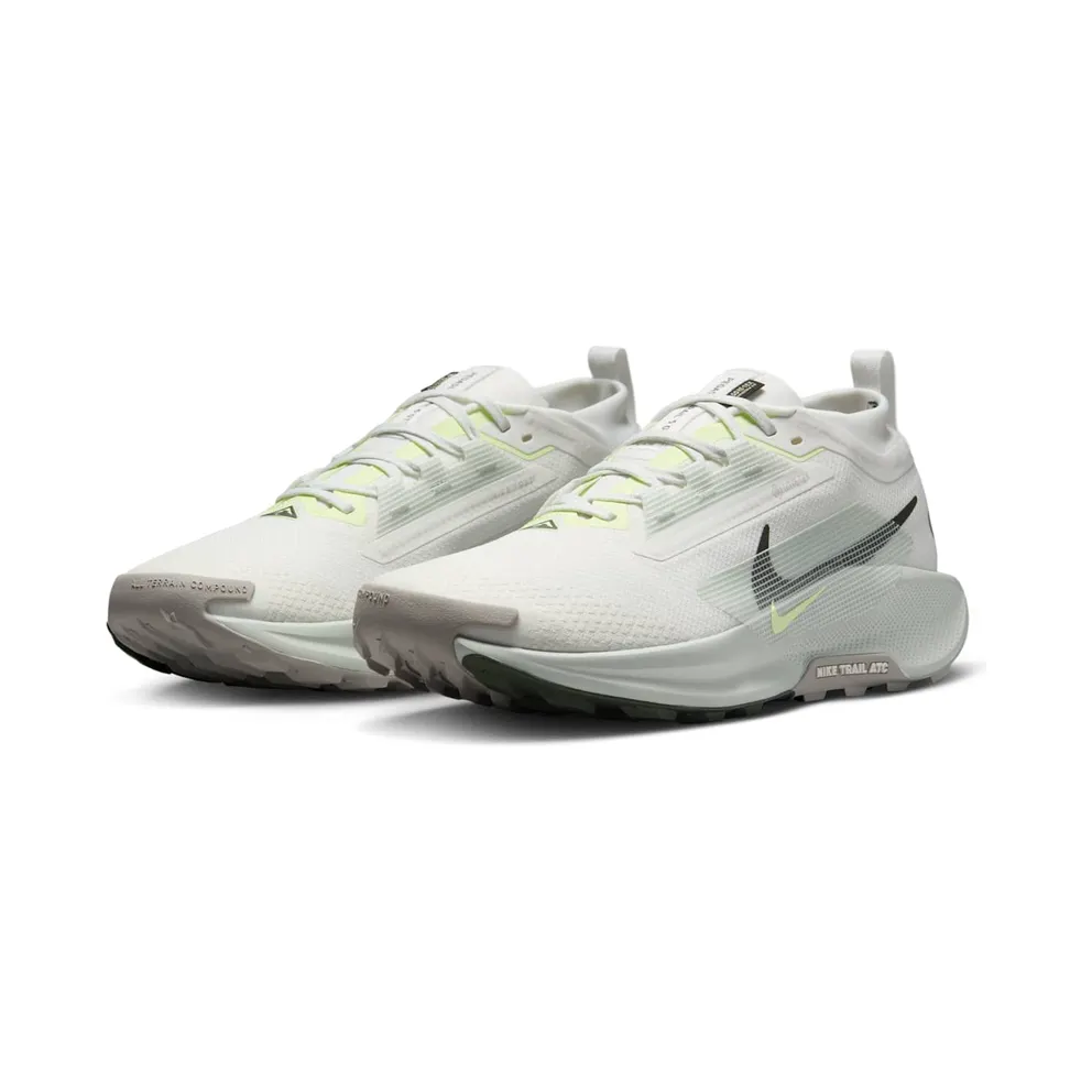 Nike Pegasus Trail 5 Gore-Tex Summit White Light Silver College Grey Sequoia (FQ0908-102)