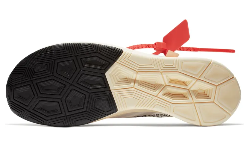 nike-zoom AJ4588-100