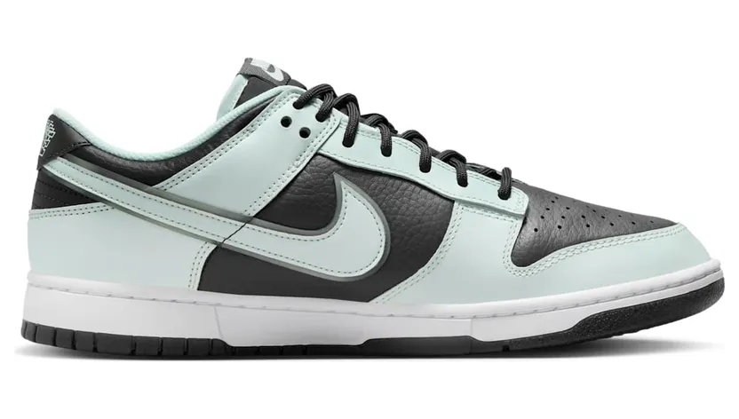 nike-dunk FZ1670-001