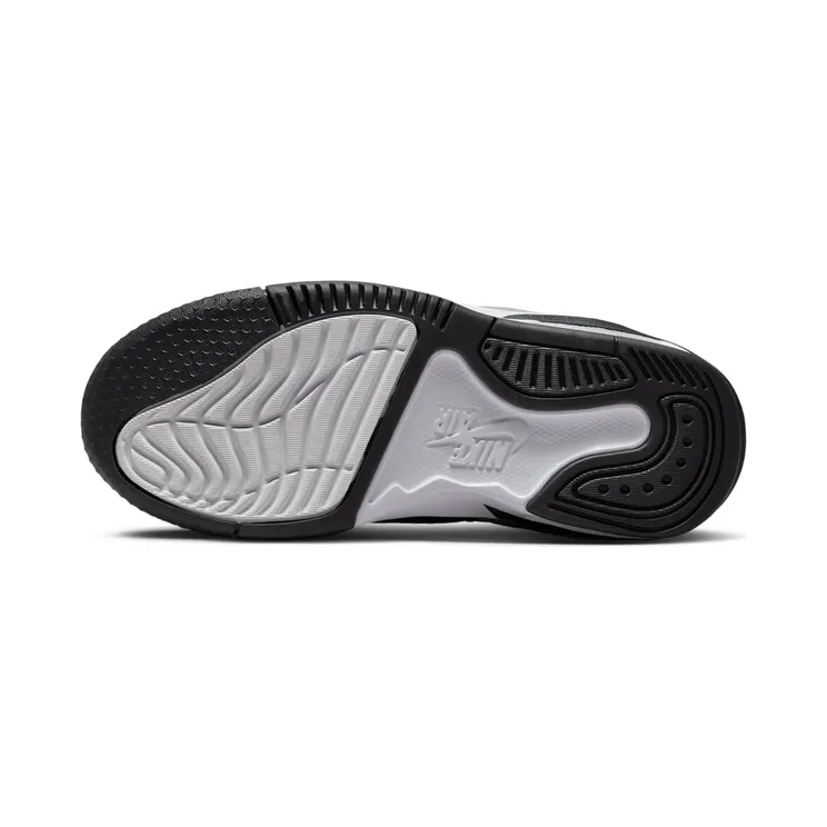 air-jordan-max-aura DZ4352-017