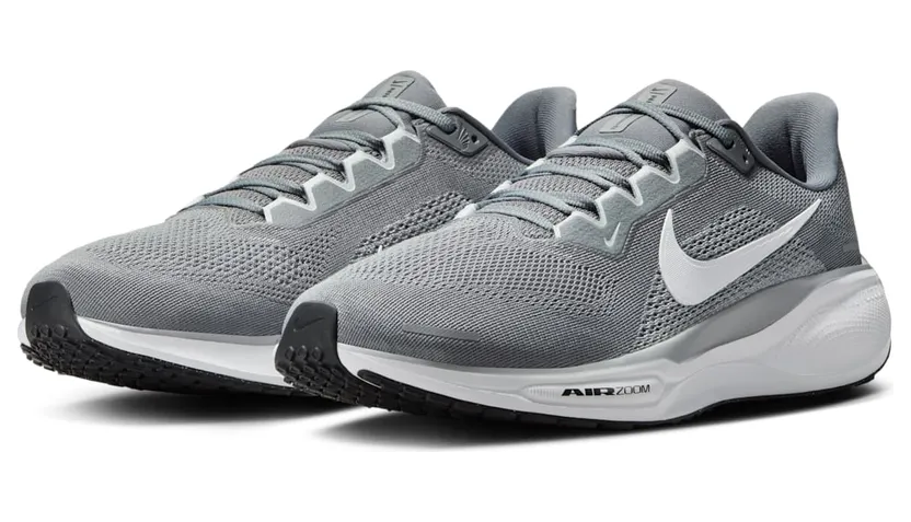 nike-air-pegasus FD2722-009