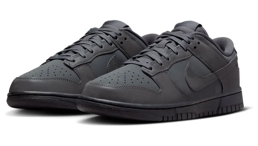 nike-dunk FZ3781-060