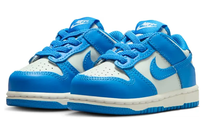 nike-dunk FB9107-004