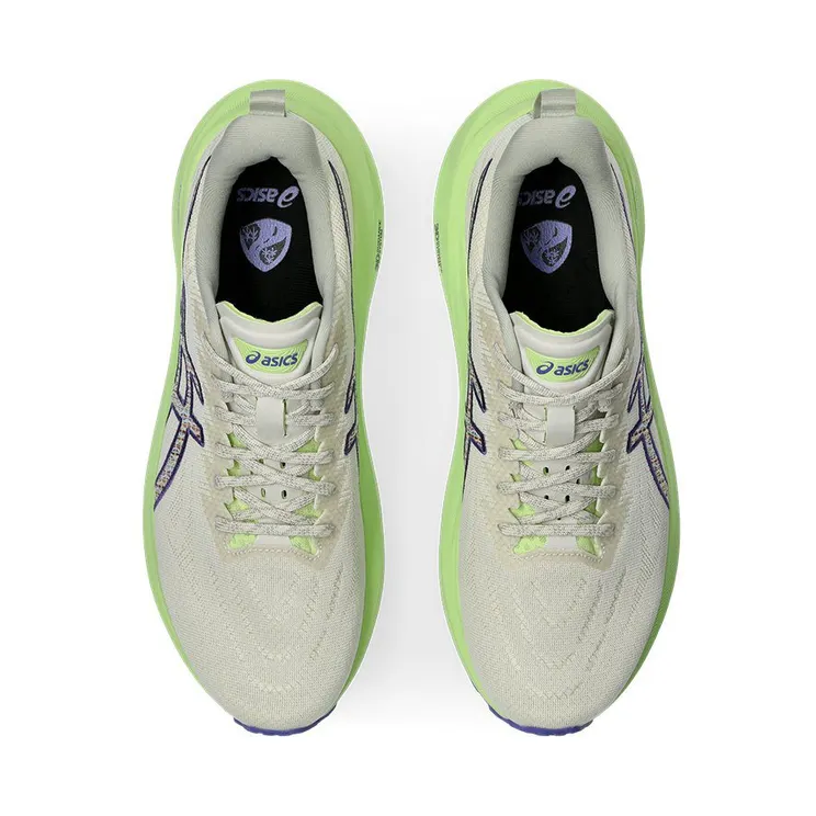 asics-gt-2000-2 1011C042-300