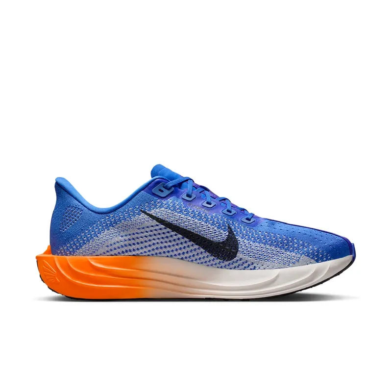 Nike Pegasus Crystal Blue/Hydrogen Blue/Lapis/Off Noir (FQ7262-403)