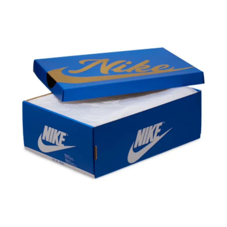 air-jordan-1 DZ5485-003