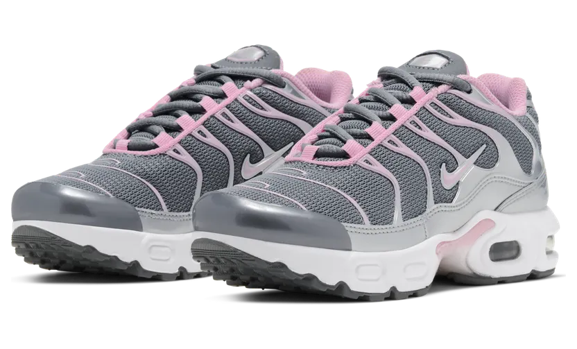 Nike Air Max Plus Zilver (CD0610-008)