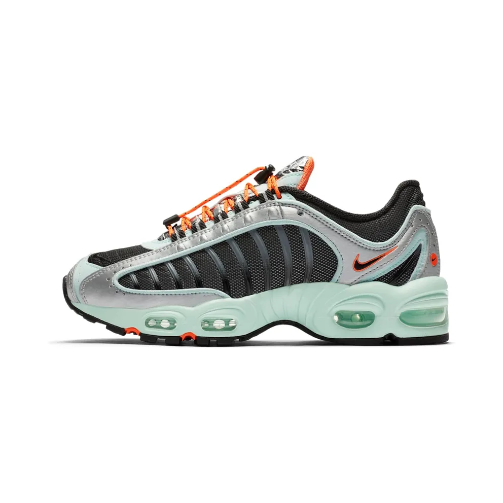 Nike Air Max Tailwind 4 Toggle Birds of the Night (CN0159-300)