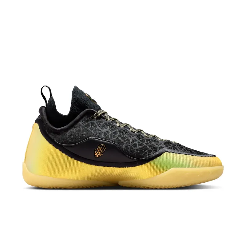Nike LeBron 23 Elite “Hurt Feelings Write History” (IB9557-002)
