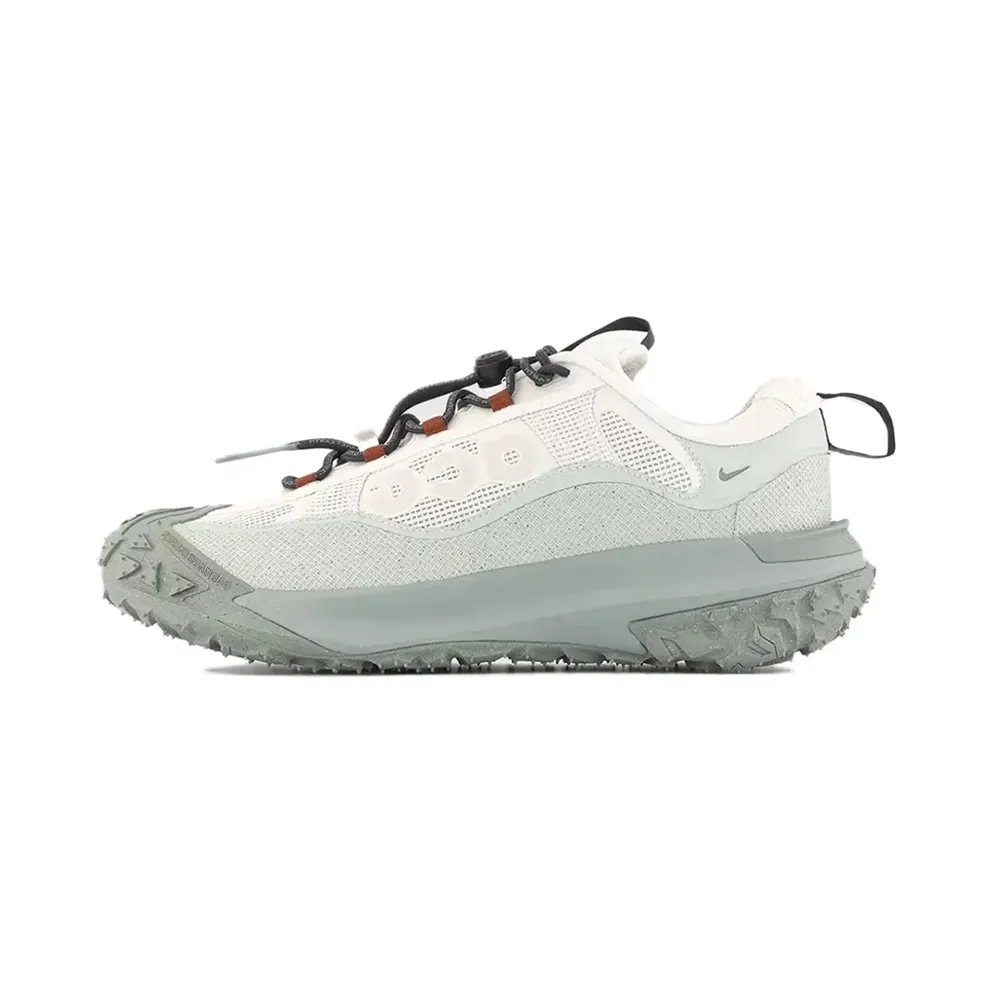 Nike ACG Mountain Fly 2 Low Gore-Tex Phantom Light Silver (HF6245-003)