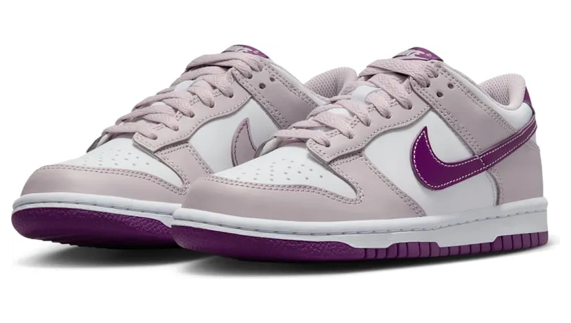 nike-dunk FB9109-104