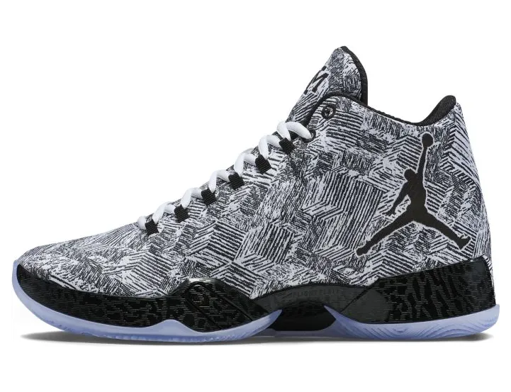 Air Jordan XX9 BHM Black History Month (727133-110)