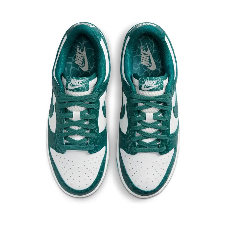 nike-dunk DV3029-100