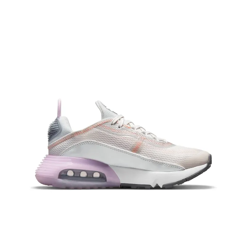 Nike Air Max 2090 Grey (CJ4066-014)