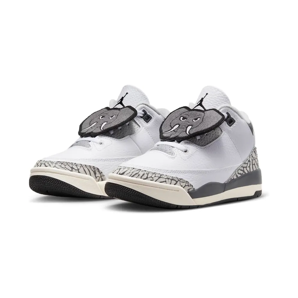 Air Jordan 3 PS “Hide & Sneak” (FB4416-100)