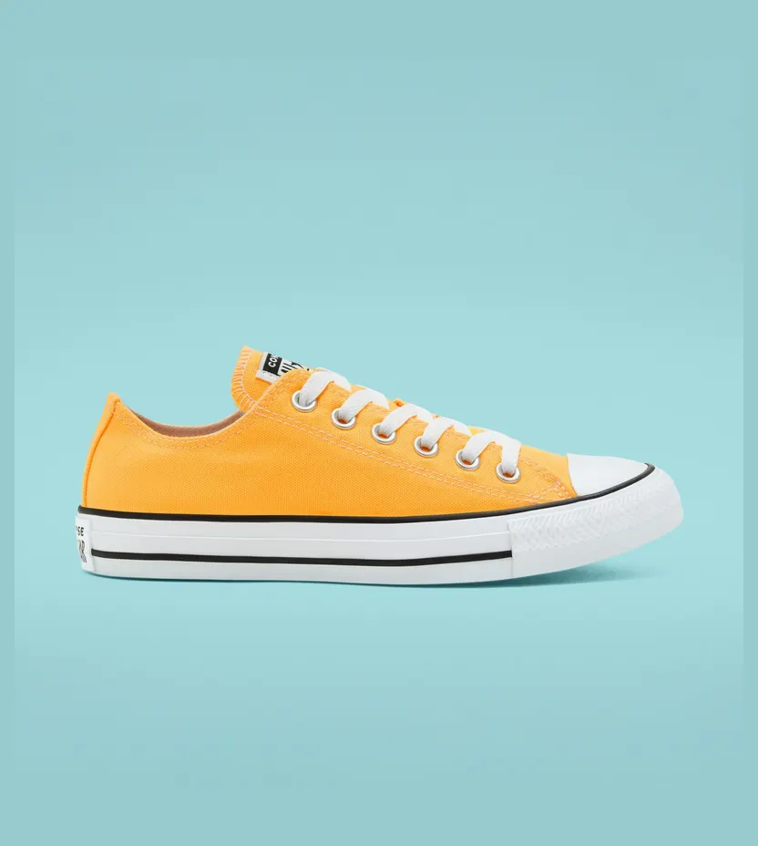 Converse Chuck Taylor All Star (167235C)