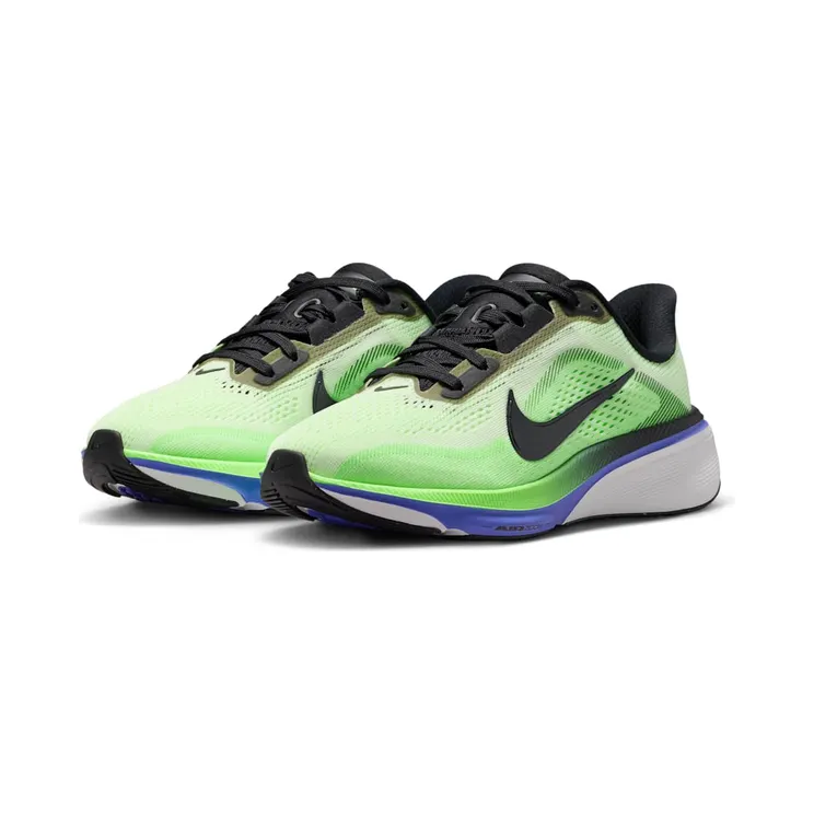 nike-air-pegasus IH2306-700