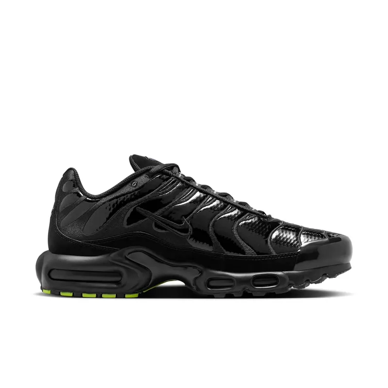 Nike Air Max Plus Black Chrome (FJ2591-001)