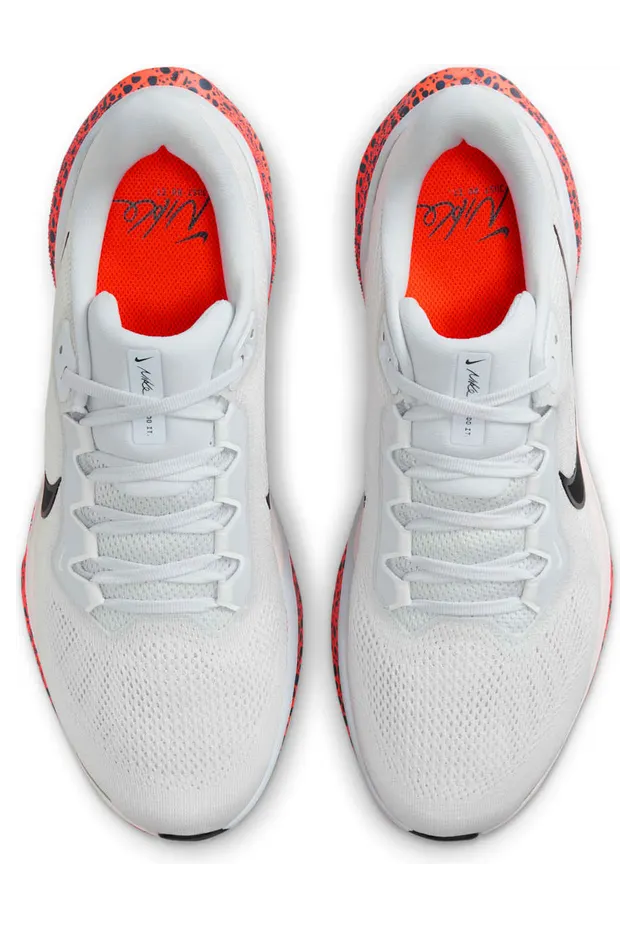 nike-air-pegasus FV2229-900