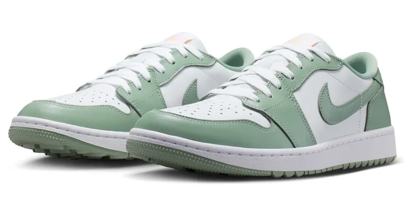 air-jordan-1 DD9315-008