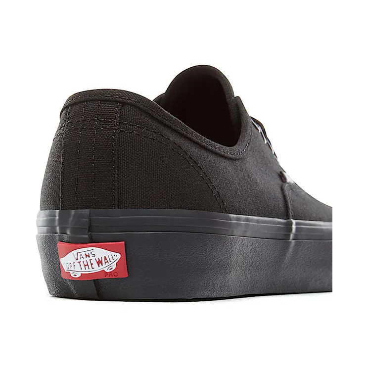 vans-authentic-pro VN000Q0DBKA