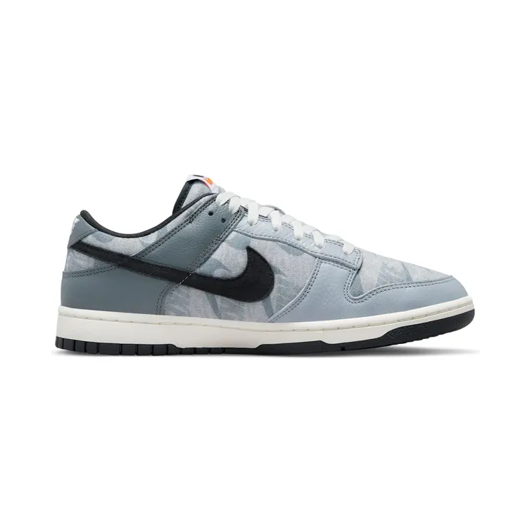 nike-dunk DQ5015-063