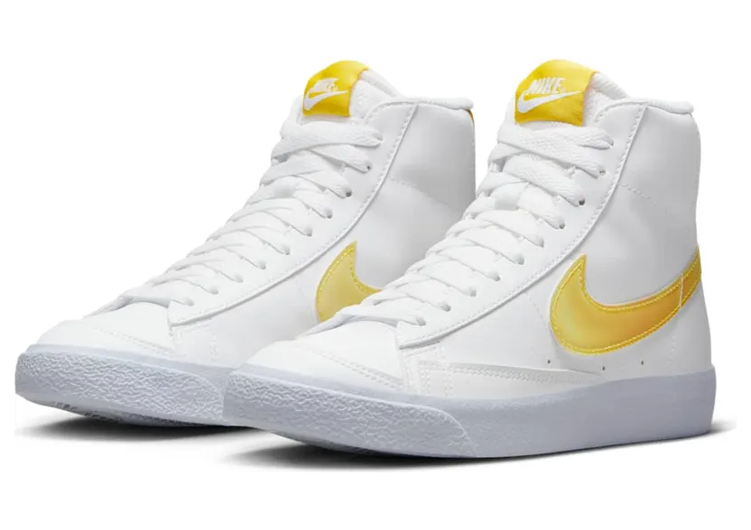 nike-blazer FJ4670-100