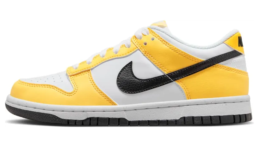 nike-dunk FN3807-800