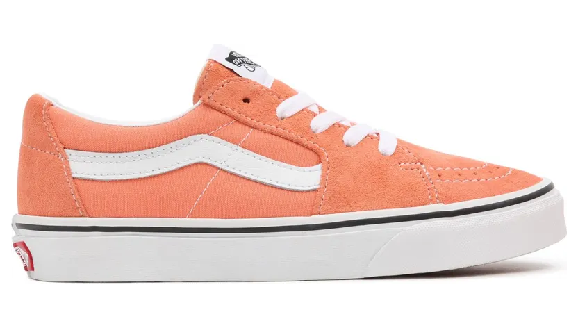 vans-sk8-low VN0A4UUKCK8