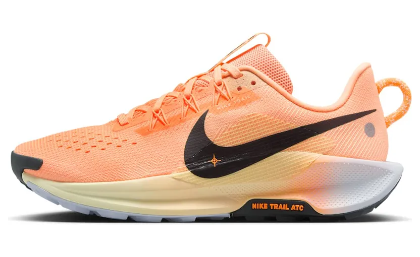 Nike Pegasus Trail Orange (DV3865-800)