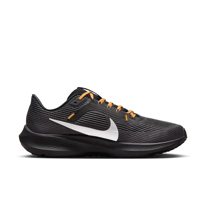 Nike Pegasus 40 Pittsburgh Steelers (DZ6006-001)