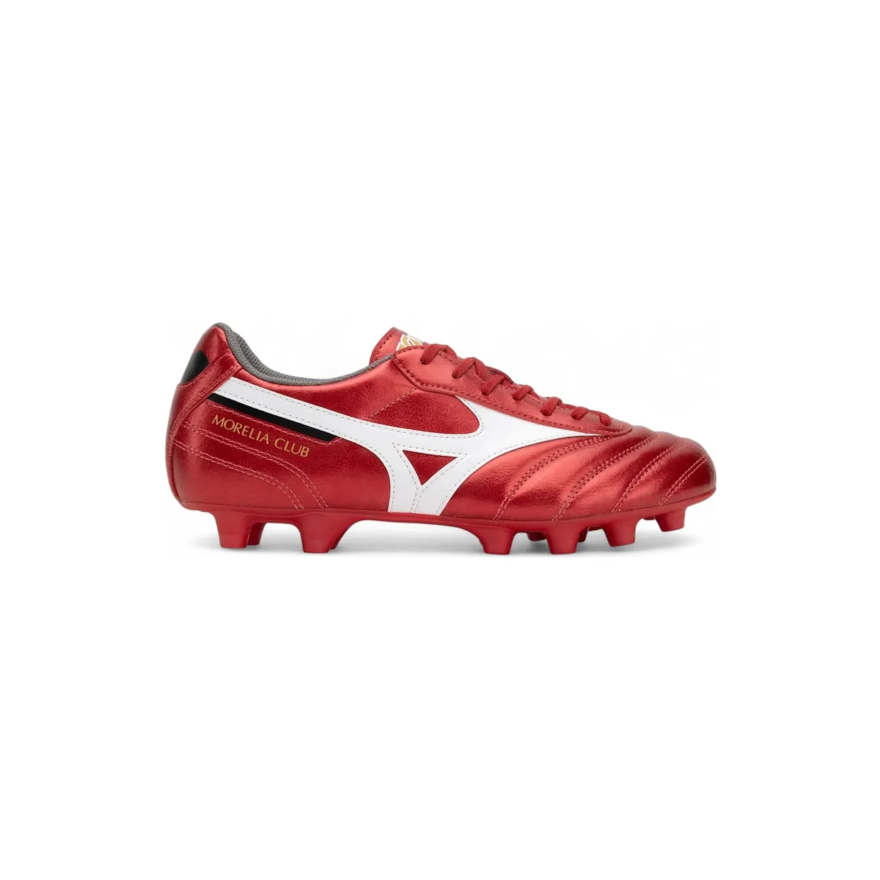 mizuno-morelia P1GA250860