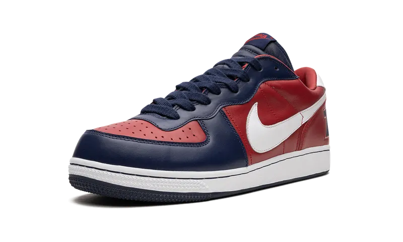 Nike Zoom Terminator Low “Zona” (310208-611)