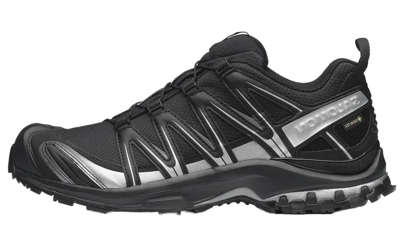 Salomon XA Pro 3D Gore-Tex “Black Silver” (L49214-300)