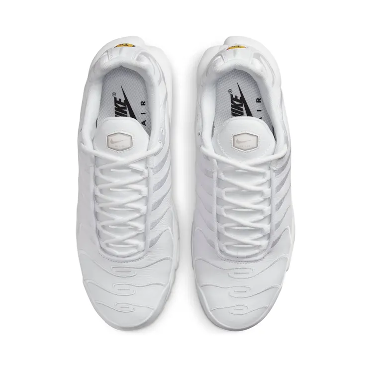 nike-air-max AJ2029-100