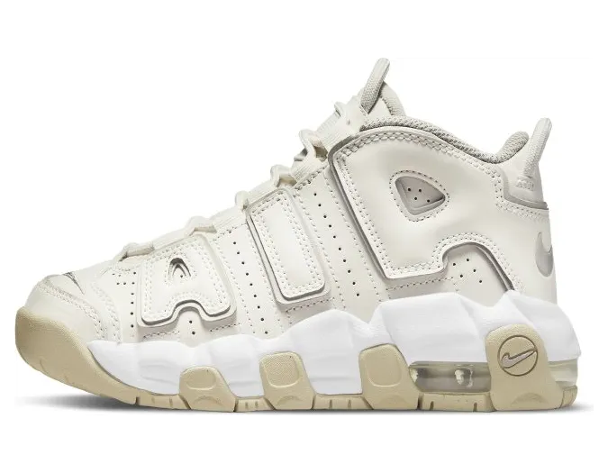 Nike Air More Uptempoen Grijs (DM1026-001)
