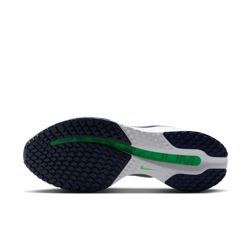Nike Pegasus White/Midnight Navy/Green Spark (HQ2592-110)