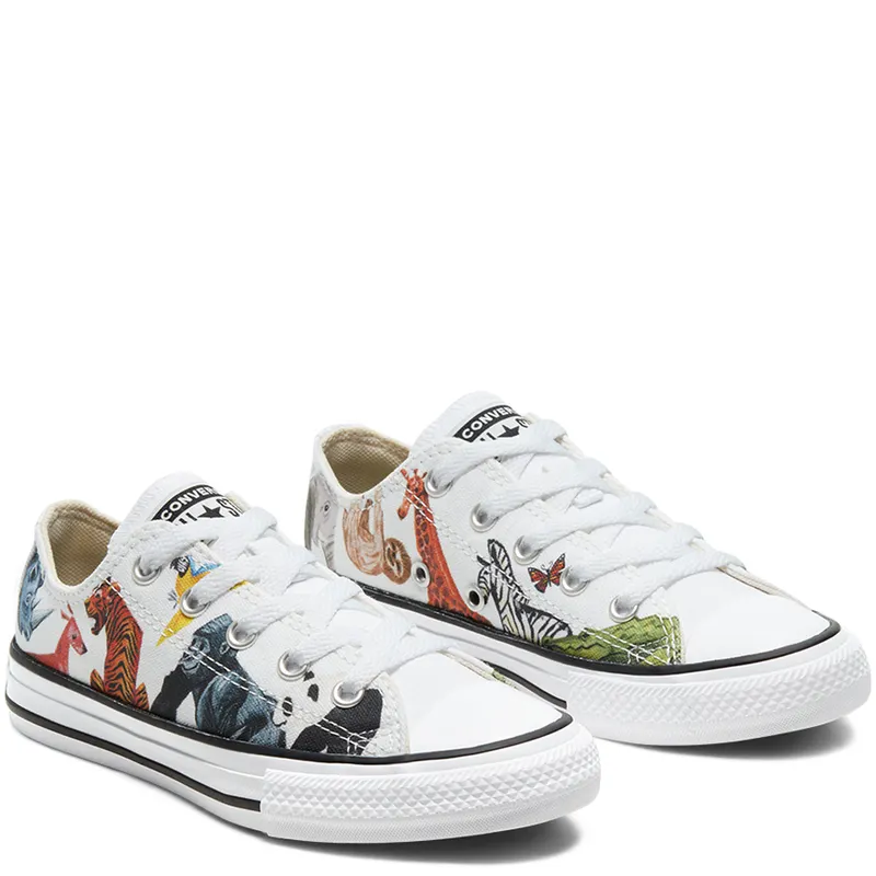 Converse Big Science Class Chuck Taylor All Star Low Top (668462C)