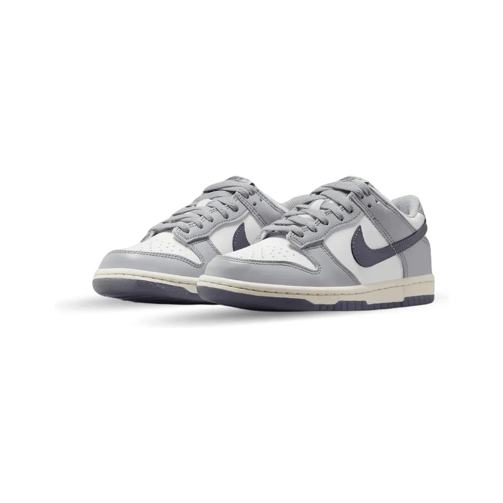 Nike Dunk Low SE Light Carbon Grey (GS) (FB9109-101)
