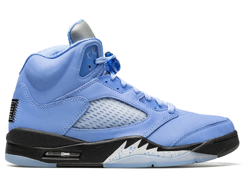 air-jordan-5 DV1310-401