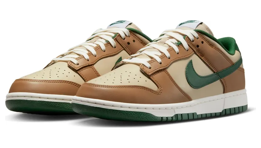 nike-dunk FB7160-231