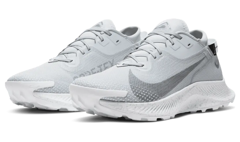 nike-air-pegasus DC1933-100