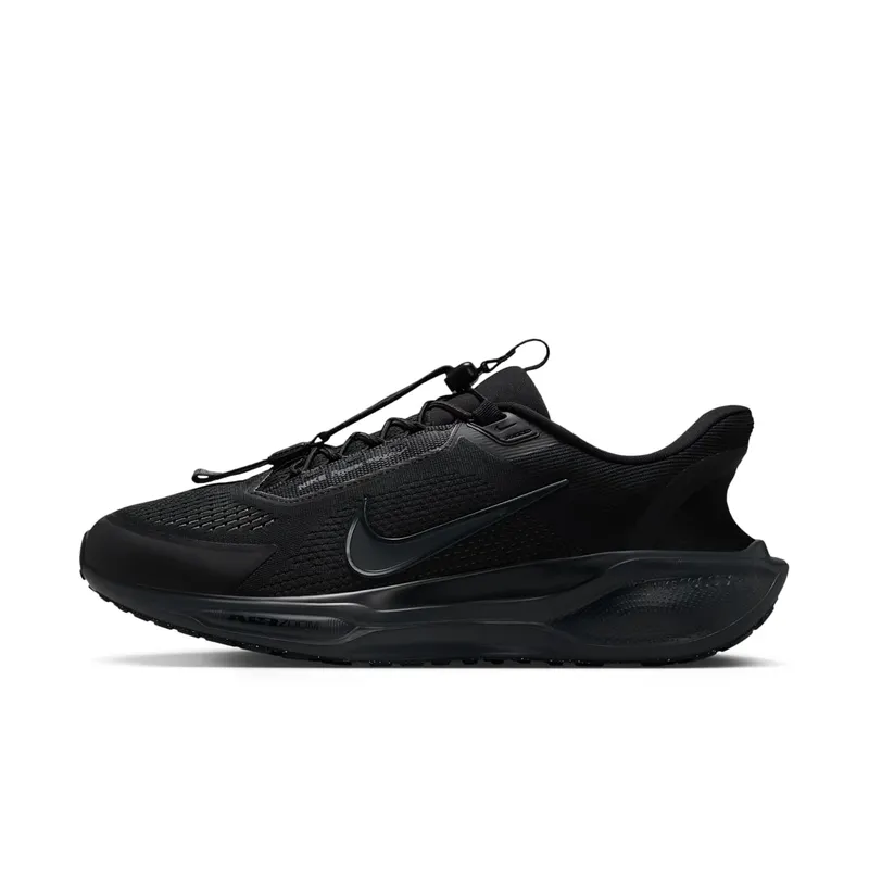 Nike Air Zoom Pegasus 41 EasyOn Black Anthracite (FQ7837-001)