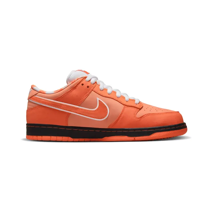 nike-dunk-sb FD8776-800