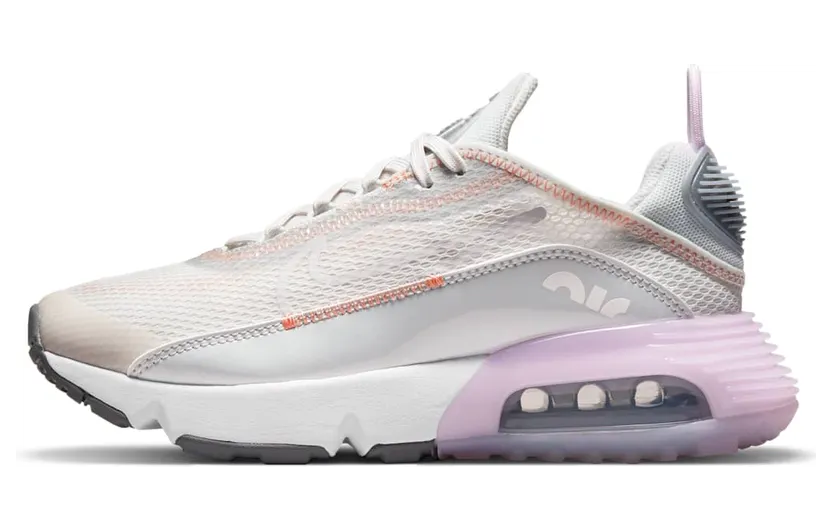 Nike Air Max 2090 Grijs (CJ4066-014)