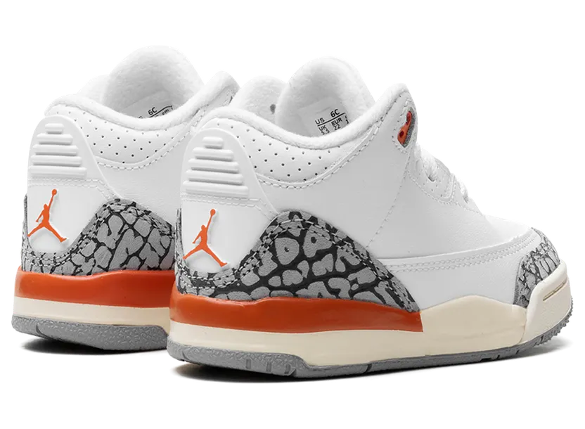 air-jordan-3 FQ9175-121