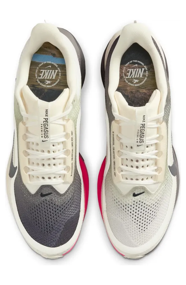nike-air-pegasus IQ1130-001