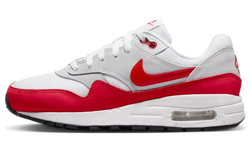 Nike Air Max 1 DZ3307-003