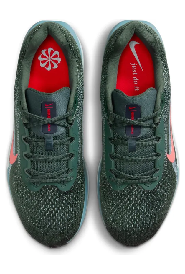 nike-winflo FJ9509-300